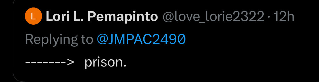 In case anyone’s curious, Lori has now informed me that the multibillion-dollar corporation Cellebrite is secretly teaming up with the FBI to take down… a soccer mom from Canton. And apparently I am in big, big trouble. For… reasons.