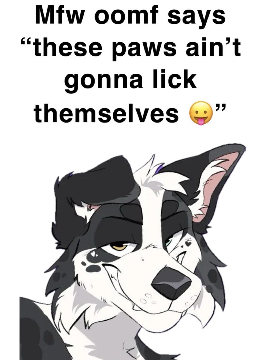 trust the process 🤝🐶