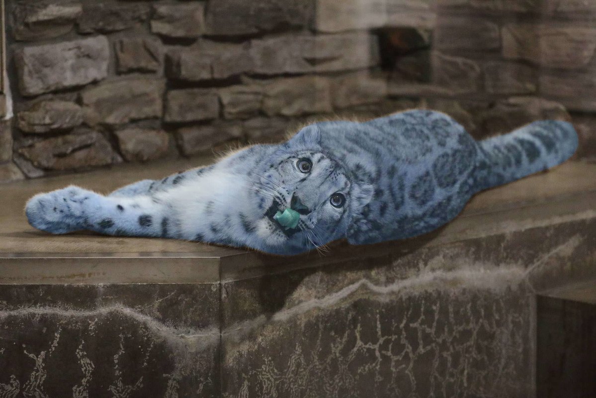 she is blue for an amazing reason