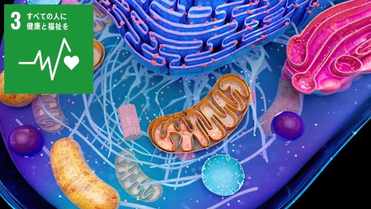 ミトコンドリア翻訳のダイナミクスを描く －網羅的で高解像度な手法が