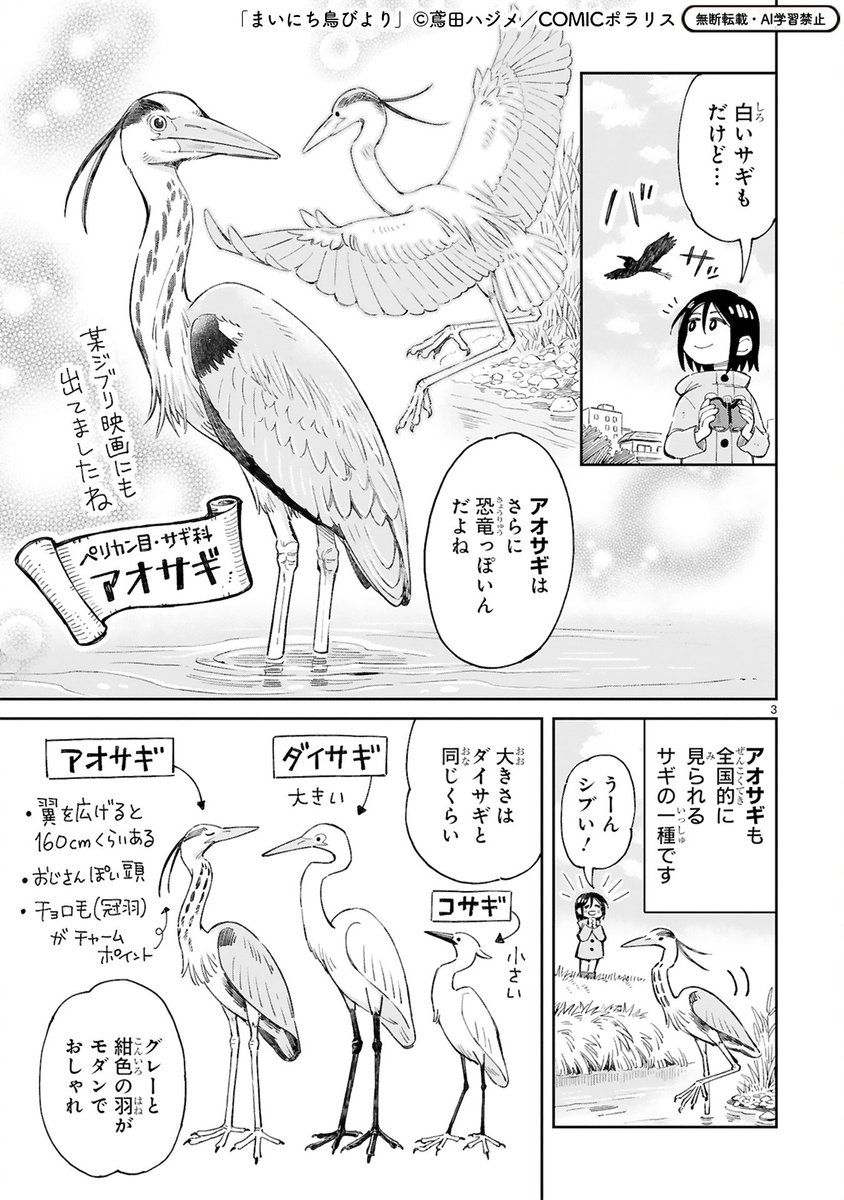 comicpolaris's tweet image. 【11/13 更新】
✨コミックス 好評発売中！✨

『まいにち鳥びより』
第13羽 アオサギのおはなし
kirapo.jp/polaris/titles…

鳥のルーツは恐竜!?
中でもさらに恐竜っぽいアオサギの魅力を覗き見！👀
動きはダイナミックでかっこいいけど、ちょっと変なところもあってーー!?

#COMICポラリス