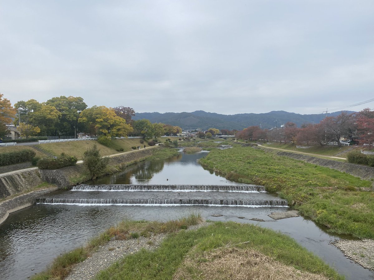 kamokamokai's tweet image. 今日の賀茂川。
2025年11月13日
#Kyoto #kyokamo #鴨川 #京都