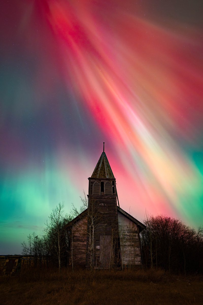 Shane Turgeon tweet media