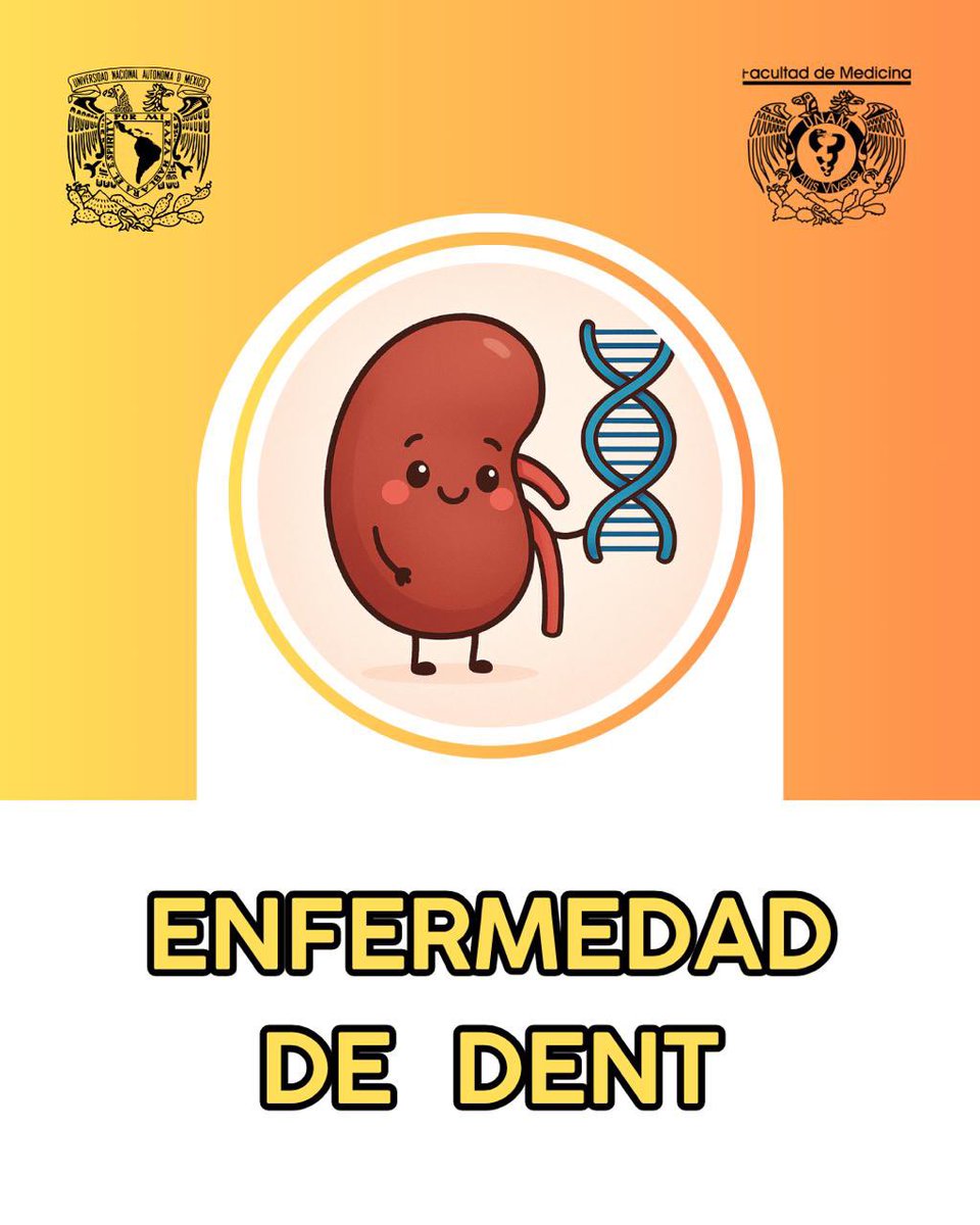 Sociedad Estudiantil de Nefrología tweet media