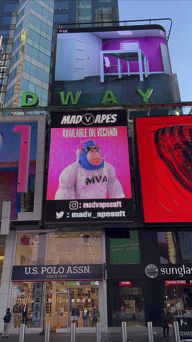 nero.vet tweet media