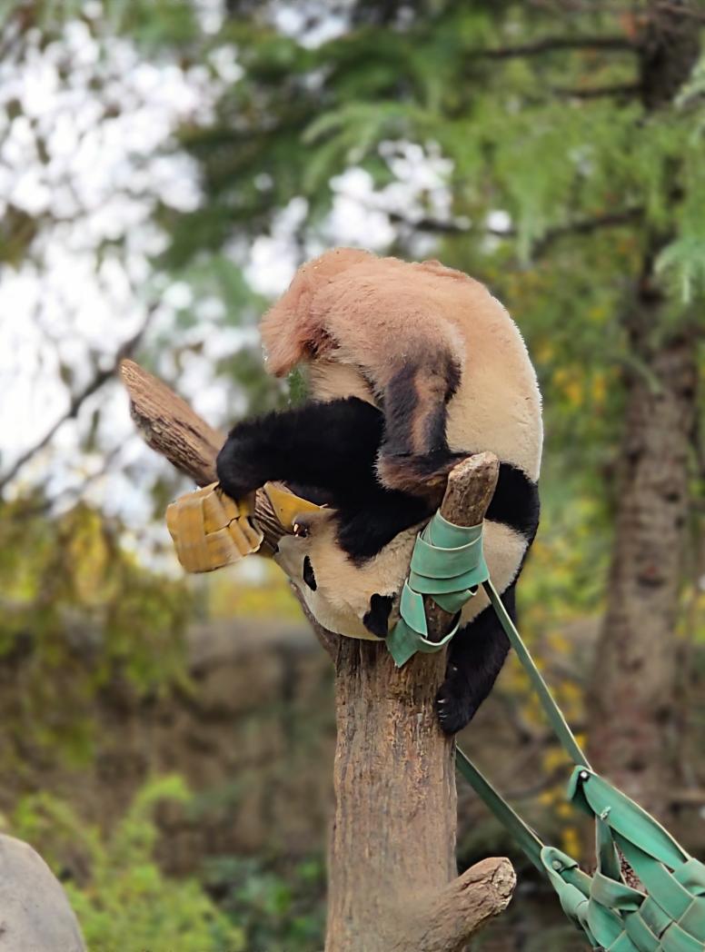 ゆかたん ゆかたん (@yu_ka7493) / Posts / X