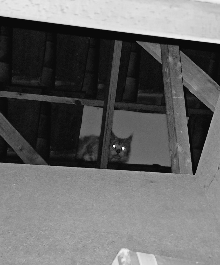 Mathookee's tweet image. J&apos;ai peur