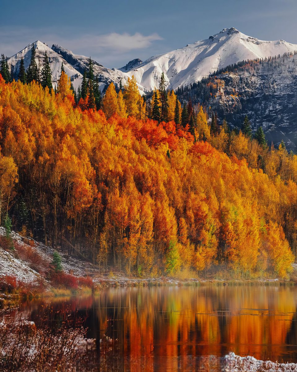 Autumn and winter 🍁❄️