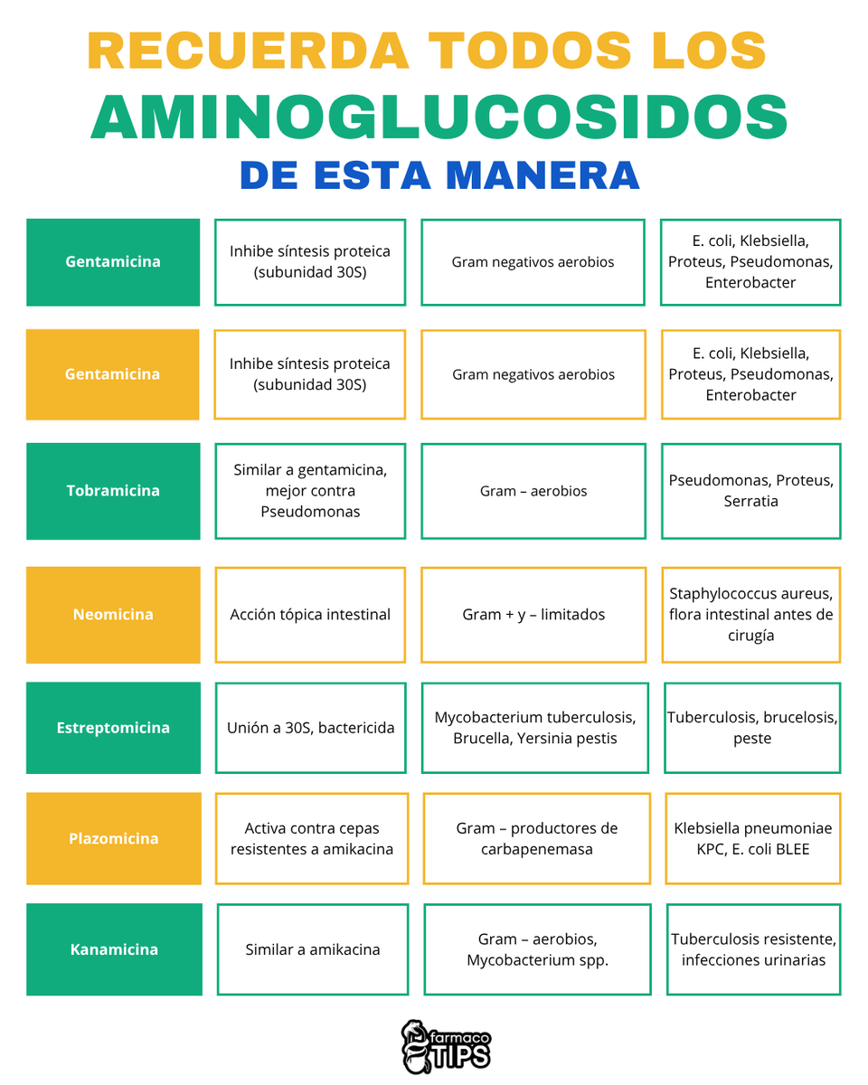 farmacotips's tweet photo. RECUERDA TODOS LOS AMINOGLUCOSIDOS https://t.co/JzCfnHHSKn