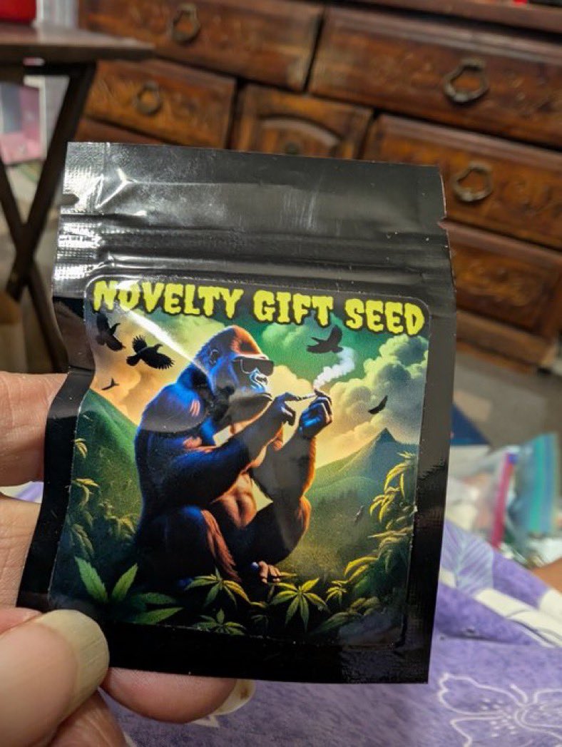 🚨FuckCancer FunPot Flash Giveaway🚨 

Win seed packs from <a href="/BlaiseGenetics/">Blaise Genetics</a> &amp;  <a href="/noveltygiftseed/">Novelty Gift Seed🌱</a> seeds + #420Friendly paraphernalia stash!  

What you need to do, #HorrorFam &amp; #StonerFam: 

1️⃣ Reply with a #KOOKYandSPOOKY gif + a 1-sentence horror story where these seeds grow into