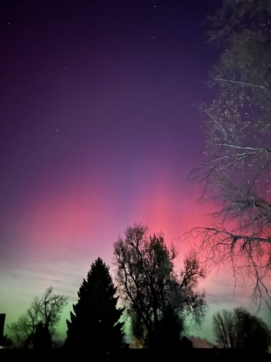 Marco Esquandolmas tweet media