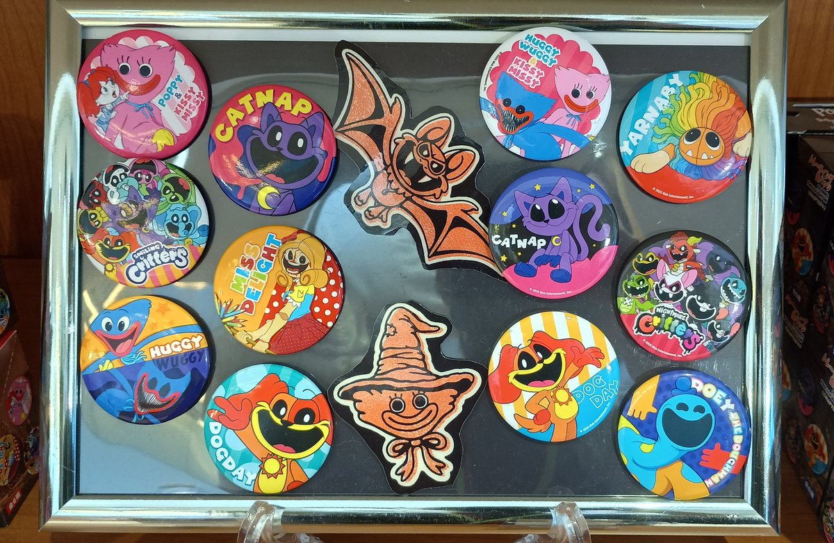 タイムマシン/SPLASH サイン入り5枚セット タイムマシン/SPLASH サイン入り5枚セット タイムマシン/SPLASH サイン