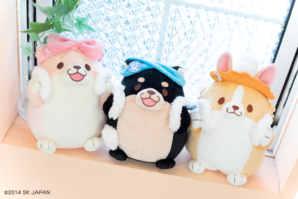 🐾11月発売商品🐕 【忠犬もちしば わくわくお風呂ぬいぐるみ】 #忠犬