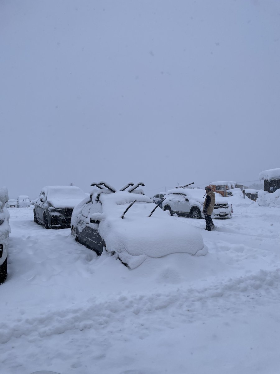 もうすぐでシーズン来るじゃん！！！！！