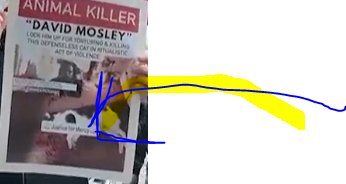 kfkitty tweet media