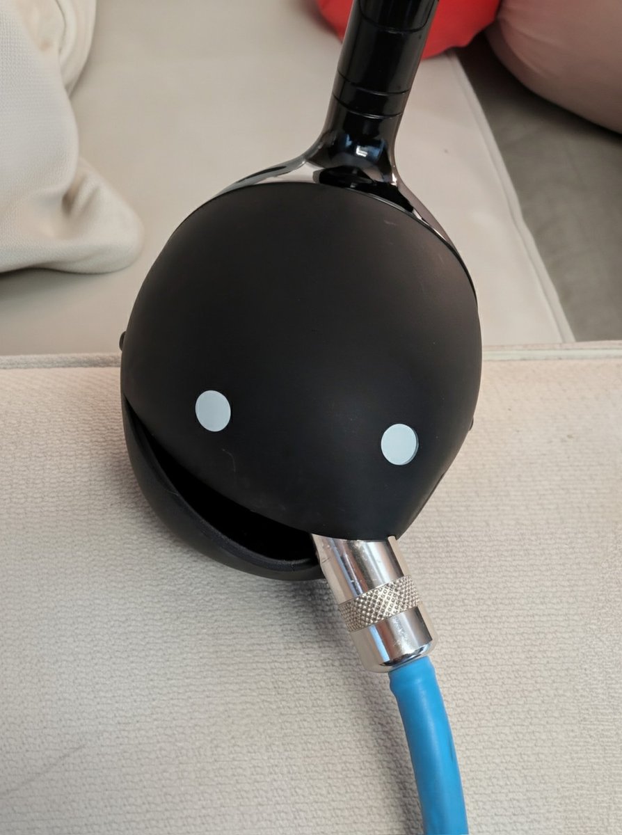 🌐 STEX23 🌐 tweet media