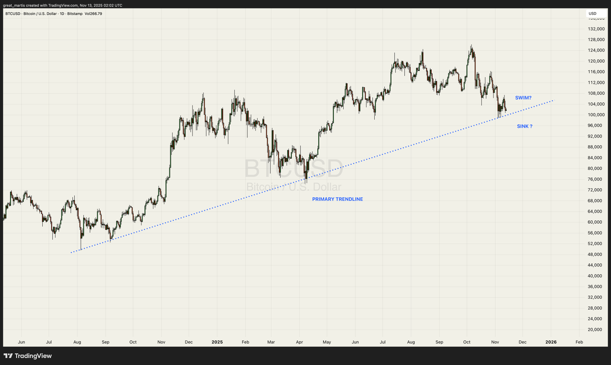 The Great Martis tweet media