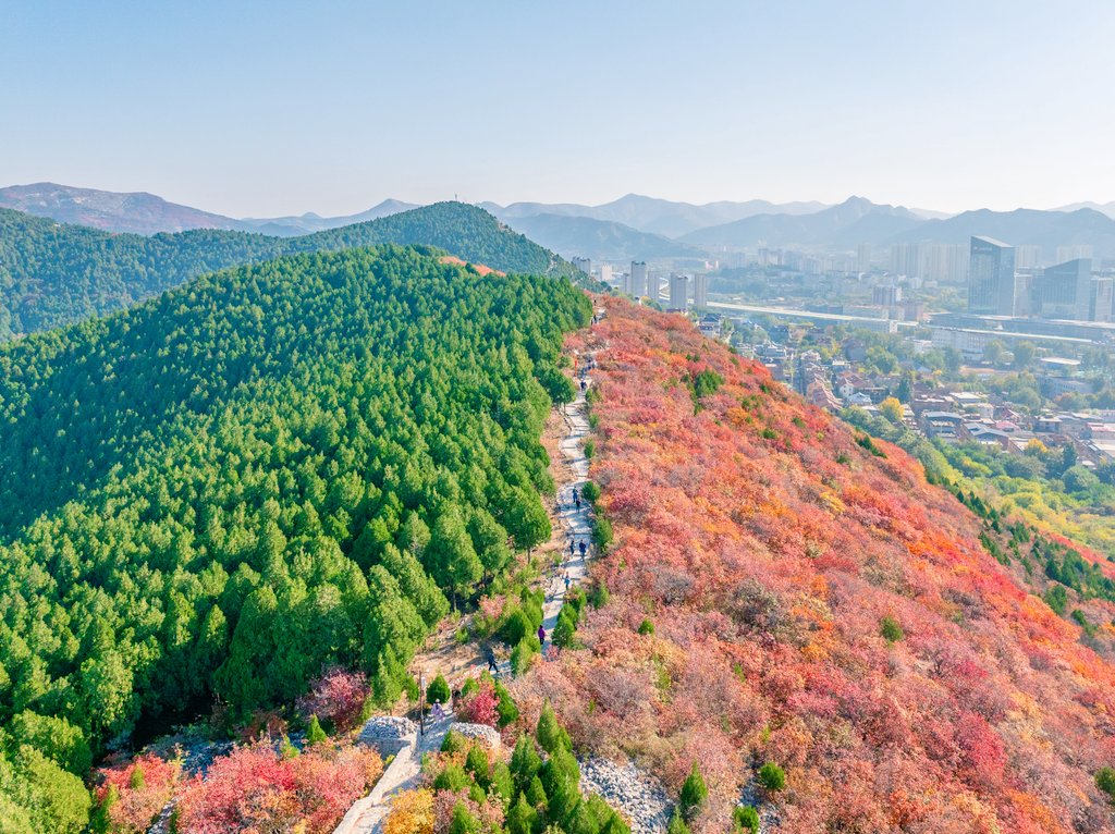 壮志凌枟💯 tweet media