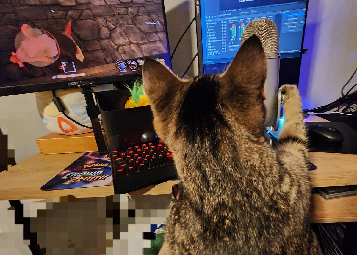 inkybyss's tweet image. My kitten tried to turn my pc off mid stream TWICE and decided to take my job smh.

 Ignore the shit cable management its the only way he won't eat it...