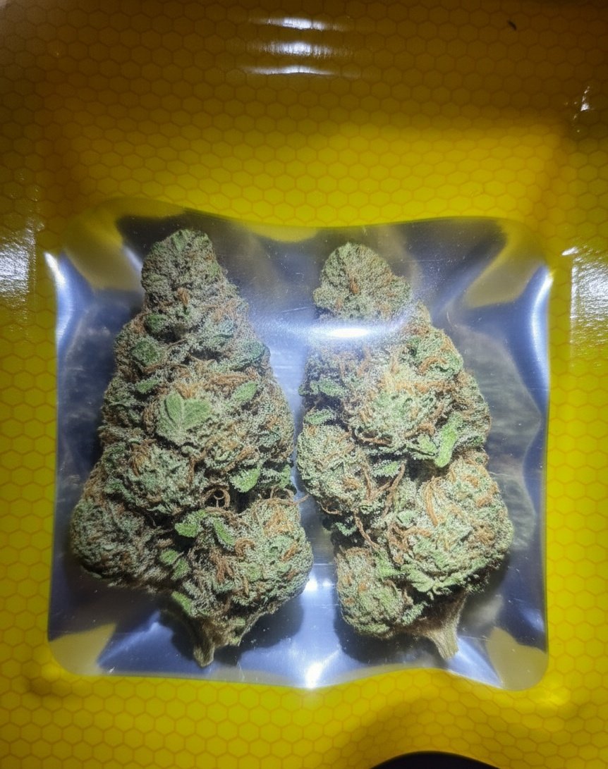 When the flavour hits so good, even your chewol becomes revival mode 🌿🔥 #BudtenderVibes #chewol