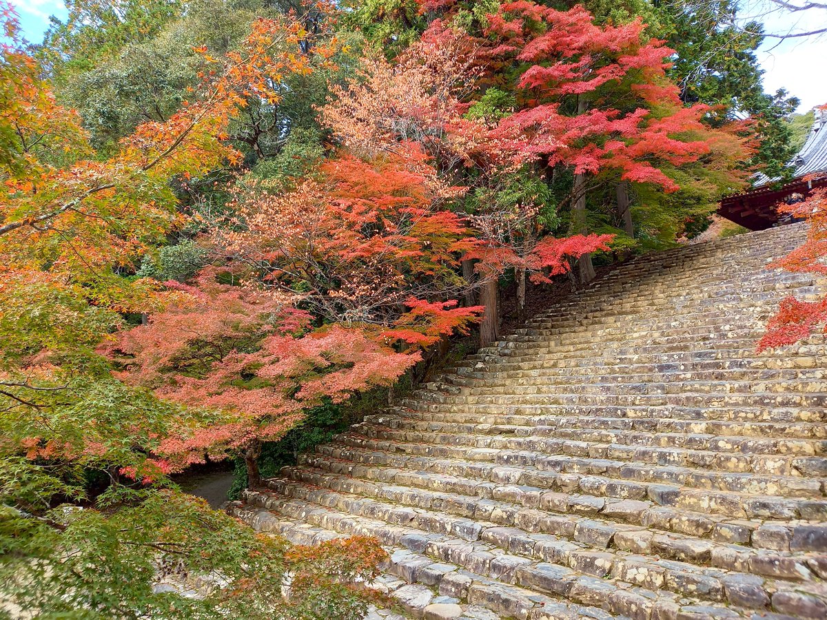 日本画 塩崎顕 #shiozakiken #屏風 #foldingscreen #foldingscreenart #くじら