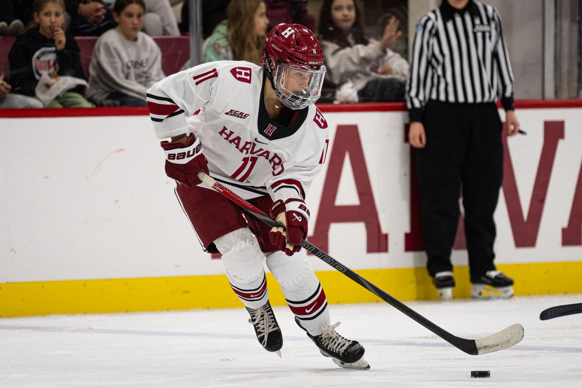 Harvard Women's Hockey tweet media