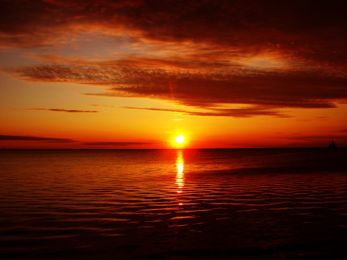 おすすめ君 tweet media