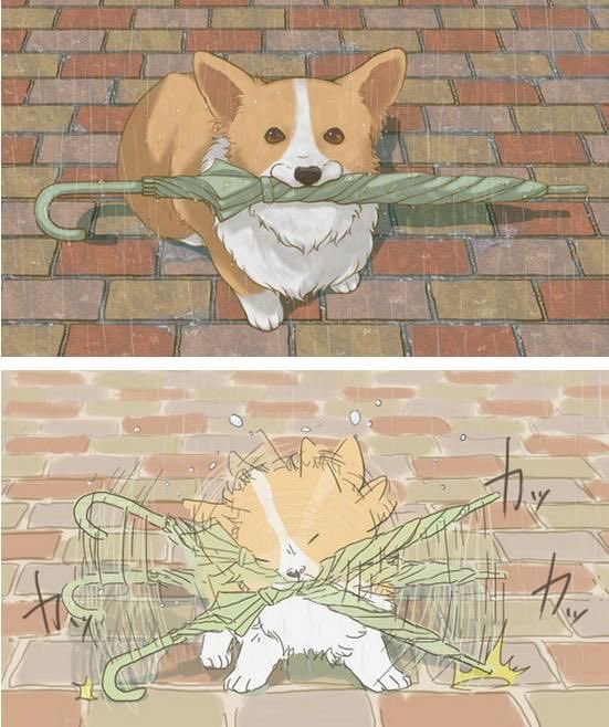 twaniimals's tweet image. 