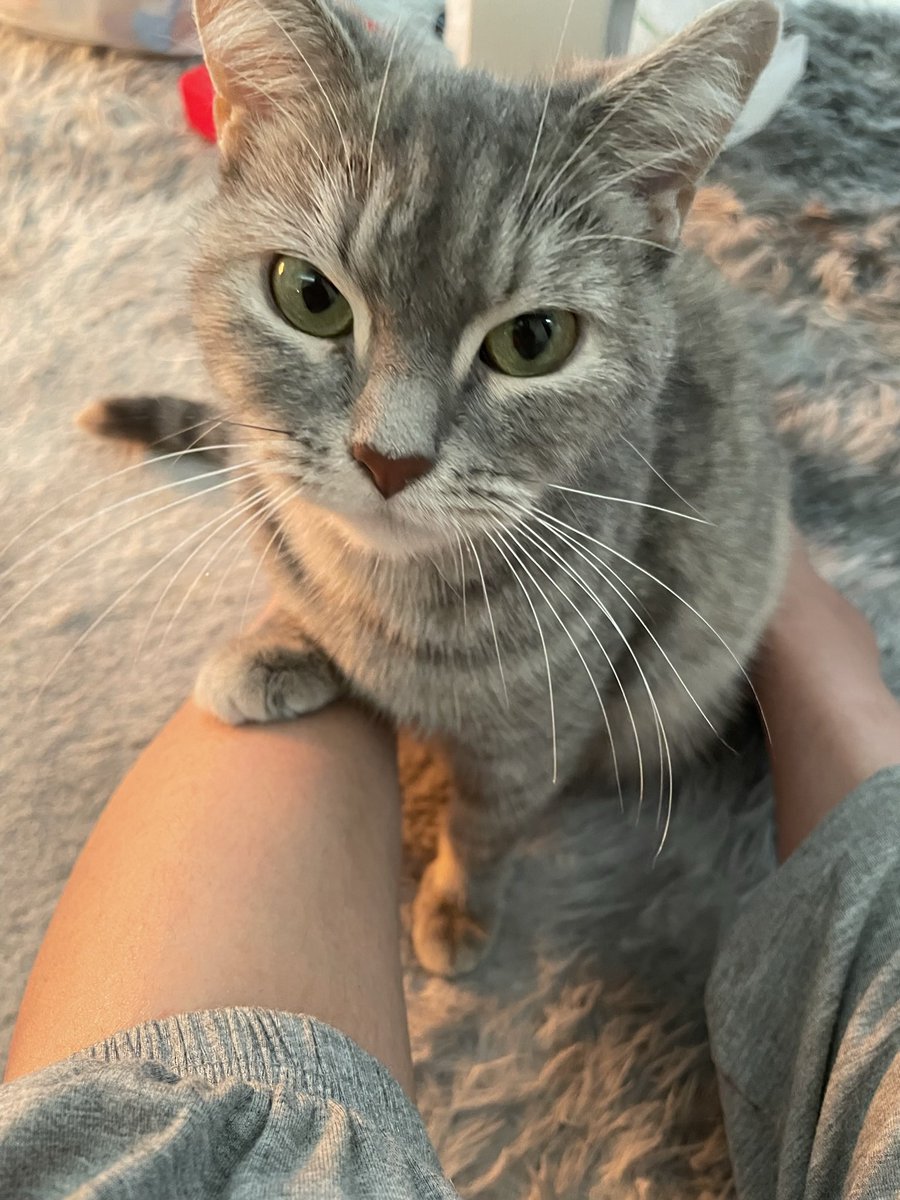 たりま姫 (@tarimahime) on Twitter photo 