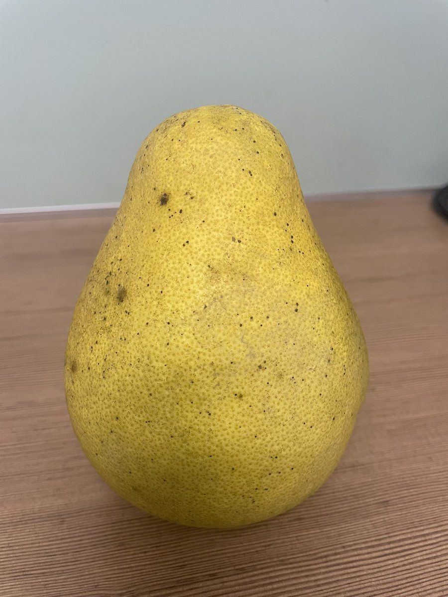 False_monk's tweet image. 药柚，第一次听这名儿。