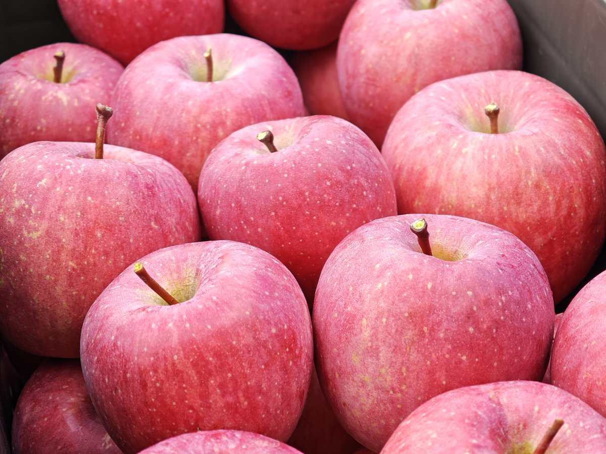 y6795y's tweet photo. 【注文受付】
🍎りんご(青森県産)🍎
●2段 5000円(送料込み)
●3段 7500円(送料込み)
(1段あたり15個前後)

『サンふじ』
『黄金ふじ』
『シナノゴールド』
の3種類から！(mix OK)

『サンふじ』多めとか大玉がいいとか小玉がいいとかあればできるだけ対応します！

発送は月末予定！締切は今週中！ https://t.co/cse0p7UCKB