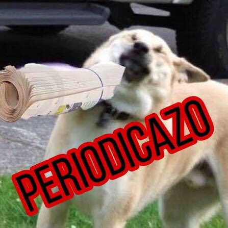 pmnavi's tweet photo. @donfito @gwenlopz @JorgeEvansz @DavidVargasA18 Te acabas de dar el periódicazo tú mismo. https://t.co/ap8nBt6A9f
