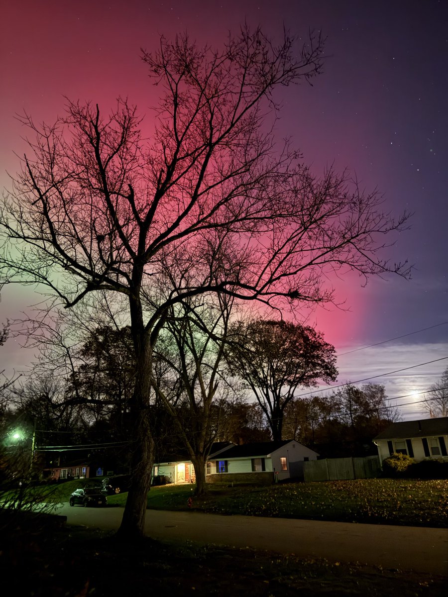 NewmanLindas's tweet image. Aurora Borealis, Bellingham, Ma, 11/11/25
#NorthernLights #WCVB