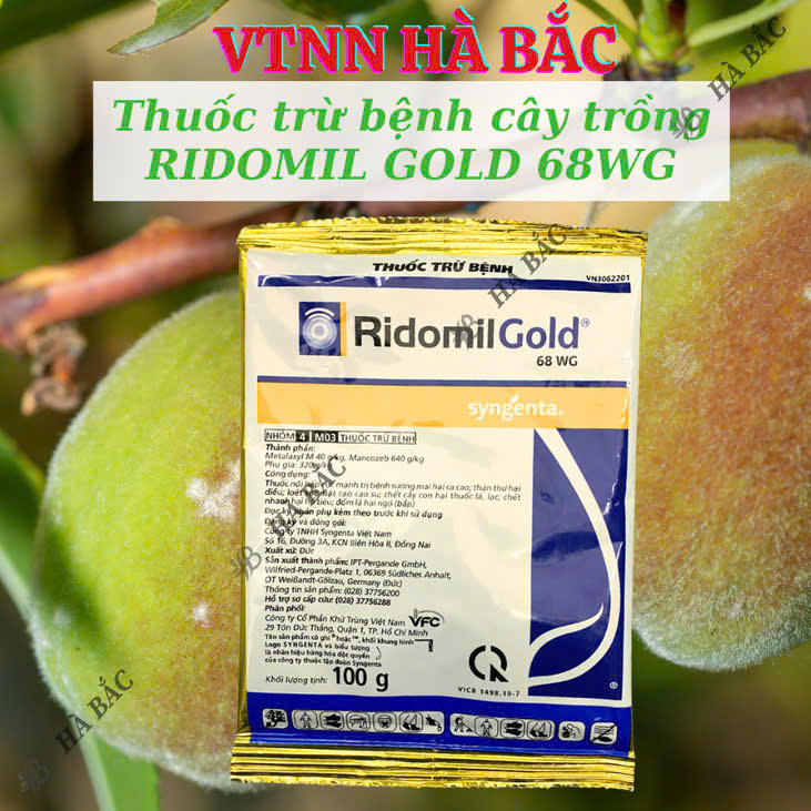 DTH_77Hung's tweet photo. Cây bị nấm bệnh? Đừng lo! 🛑

RIDOMIL GOLD 68WG (Gói 100g) là giải pháp dứt điểm từ Syngenta! 
✅ Trừ tận gốc Nấm/Bệnh Sương Mai, Thối Rễ.
✅ Nội hấp lưu dẫn mạnh mẽ. 
✅ NPP Chính Hãng: VNNH HÀ BẮC.

#RidomilGold #ThuốcTrừBệnh #Syngenta #BảoVệCâyTrồng https://t.co/VfuIkx1URf