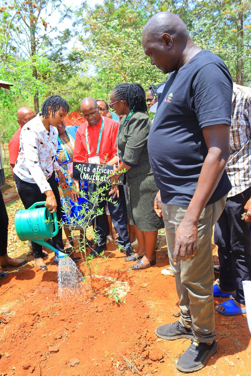 Sustainable ecosystem restoration starts with planting quality seedlings from quality seeds. That's what we are doing in Makueni county in collaboration with <a href="/CIFOR_ICRAF/">CIFOR-ICRAF</a> and our partners. Empowered communities.
<a href="/Eng_F_Ngeno/">Dr. Eng. Festus K. Ng’eno, MIEK, CBS</a> 
<a href="/Environment_Ke/">Ministry of Environment, Climate Change & Forestry</a> 
<a href="/SDGsKenyaForum/">Coalition for Sustainable Development</a> 
<a href="/restorelocal/">Restoration Local</a>