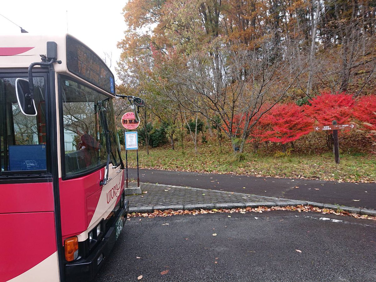 yamakobus's tweet photo. 【運転士の好きな景色】
野草園の紅葉と沼の辺から見える冠雪の月山🍁🏔️
紅葉で秋を感じながらもう冬の気配も…
寒くなってきましたので皆さんも体調管理に気をつけてお過ごしください😀
＃野草園　＃沼の辺　＃月山 https://t.co/ZjoBJZi59f