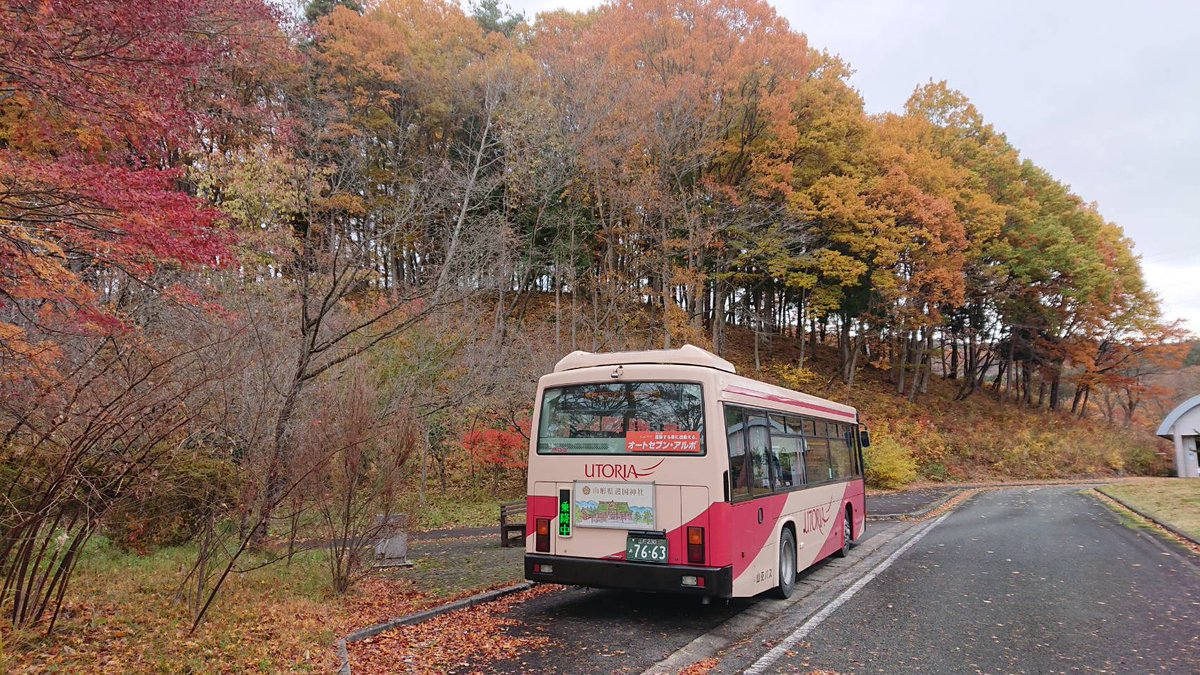 yamakobus's tweet photo. 【運転士の好きな景色】
野草園の紅葉と沼の辺から見える冠雪の月山🍁🏔️
紅葉で秋を感じながらもう冬の気配も…
寒くなってきましたので皆さんも体調管理に気をつけてお過ごしください😀
＃野草園　＃沼の辺　＃月山 https://t.co/ZjoBJZi59f