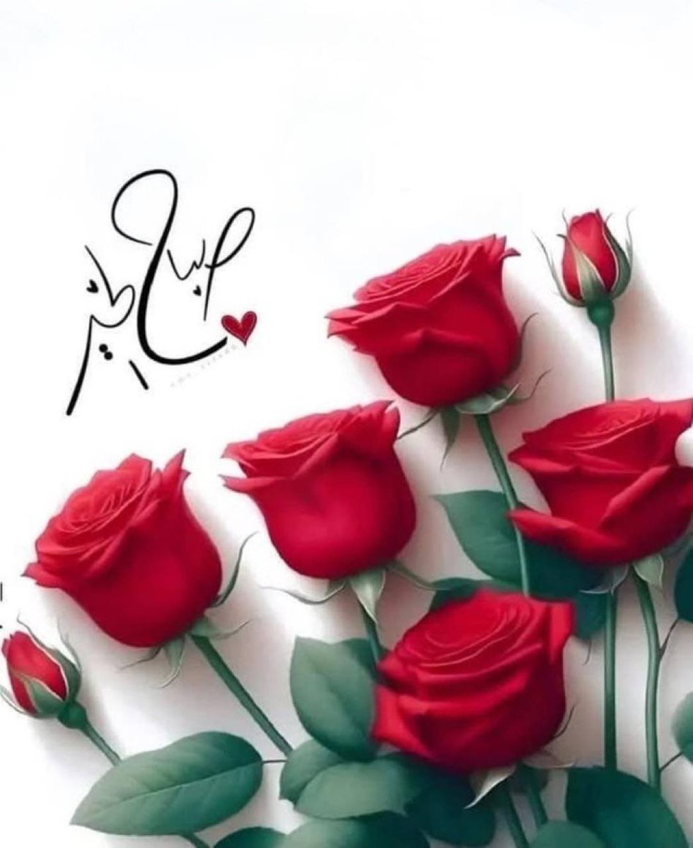 نحن لا ندري أي أرض و أي قلب و أي قرار 
هو خير لنا ، 
لكننا نوقن بِأن الخير فيما اختاره الله لنا دائماً 🍂

صباح الخير 💕