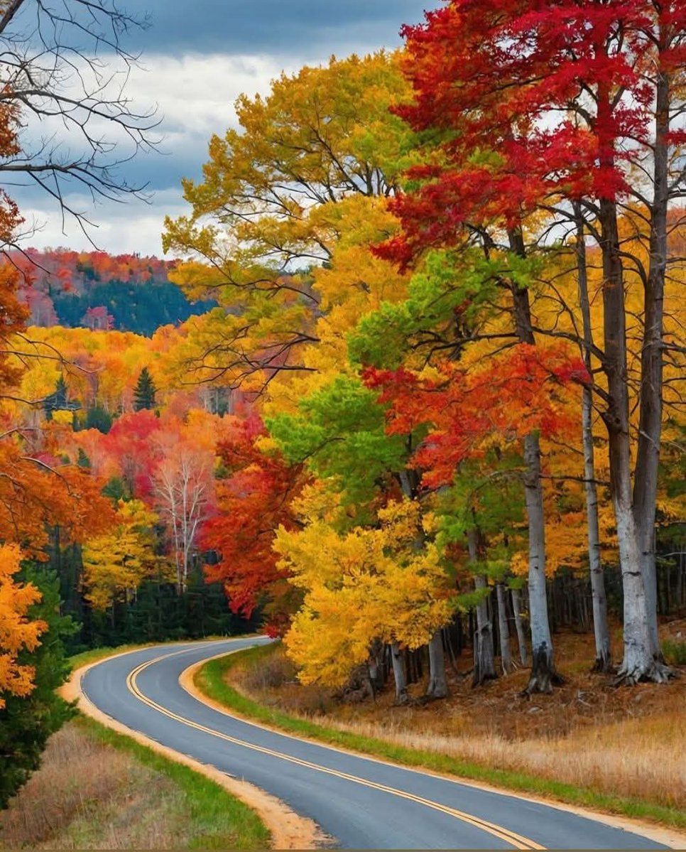 A solo Traveler (@stupendousnatur) on Twitter photo 