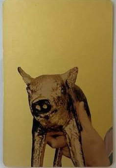 mia 🇵🇸 tweet media