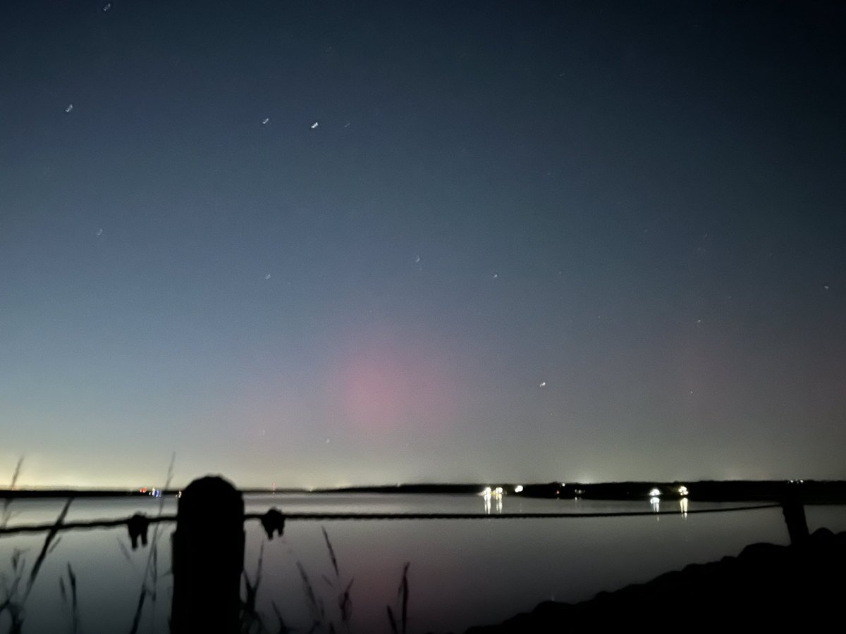 Kelly Geiger🌈 tweet media