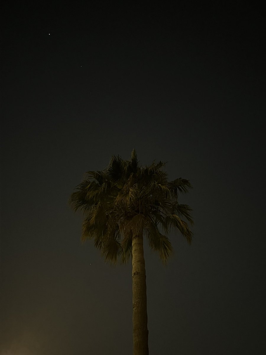 فذ 🌍 tweet media