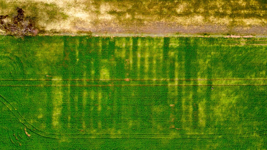 Michael Brougham tweet media