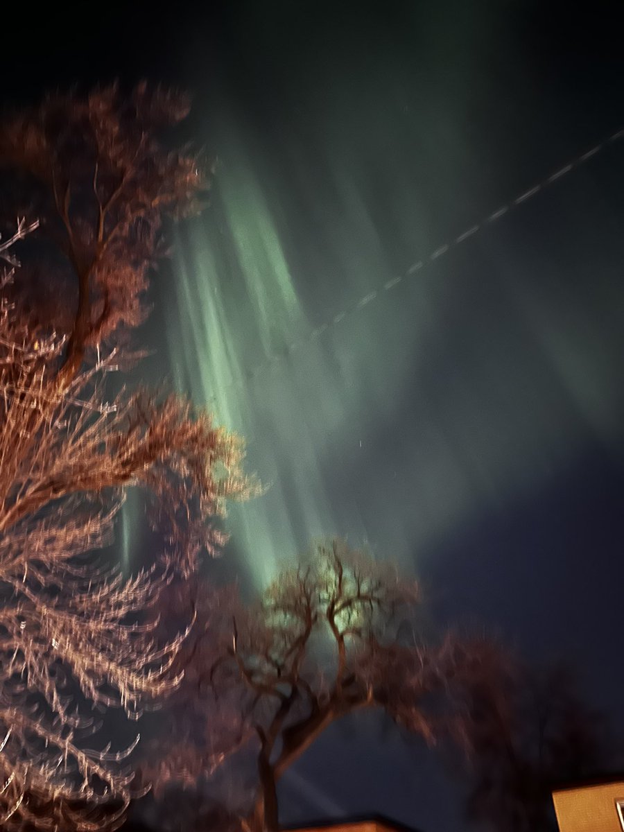 lilquickpuff's tweet image. awooooo