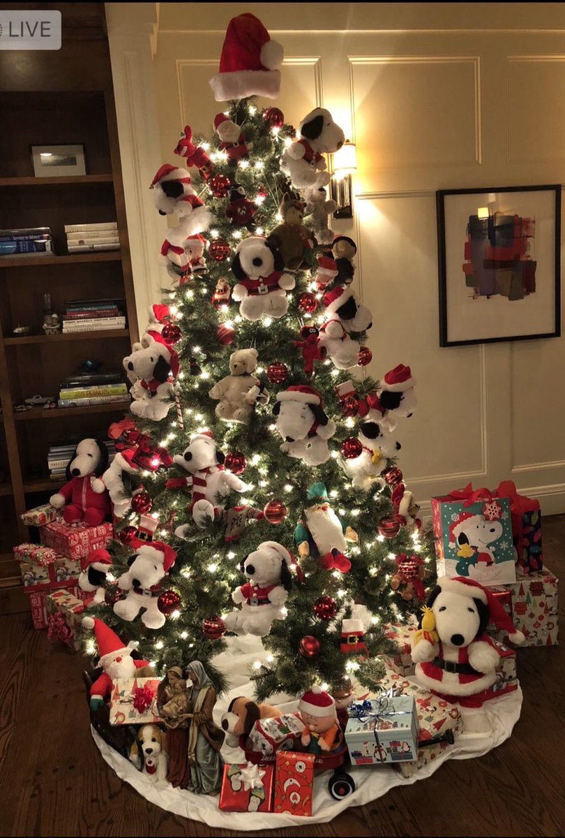 is it too much snoopy?