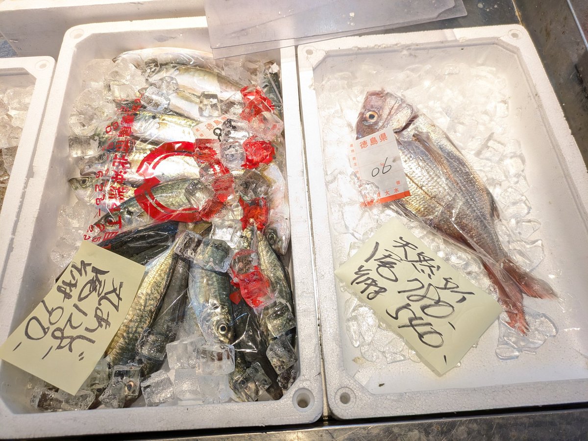 Post by 亀川商店 公式 on X: 例のごとく……