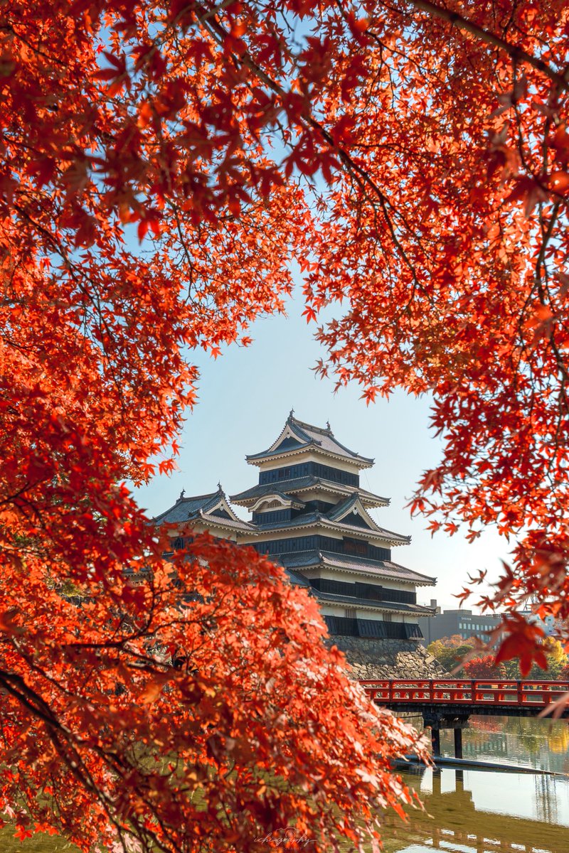 松本城に来たら とりあえず列をなしてたので 並んで撮ってみた