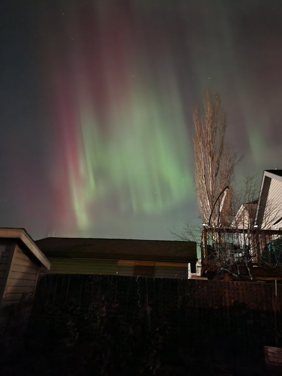 Karen Hanson 🌱 tweet media