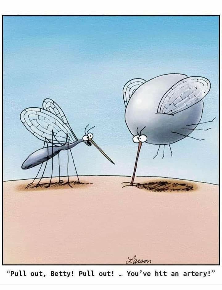 RichSaarWriter's tweet image. In trying to coax my Muse back to work, I think I&apos;ve accidentally hit an artery...   8300 words in 6 days!
#amwriting #wip #WritingCommmunity #amwritingscifi #dystopia #IndieAuthor #AuthorLife #writerslife