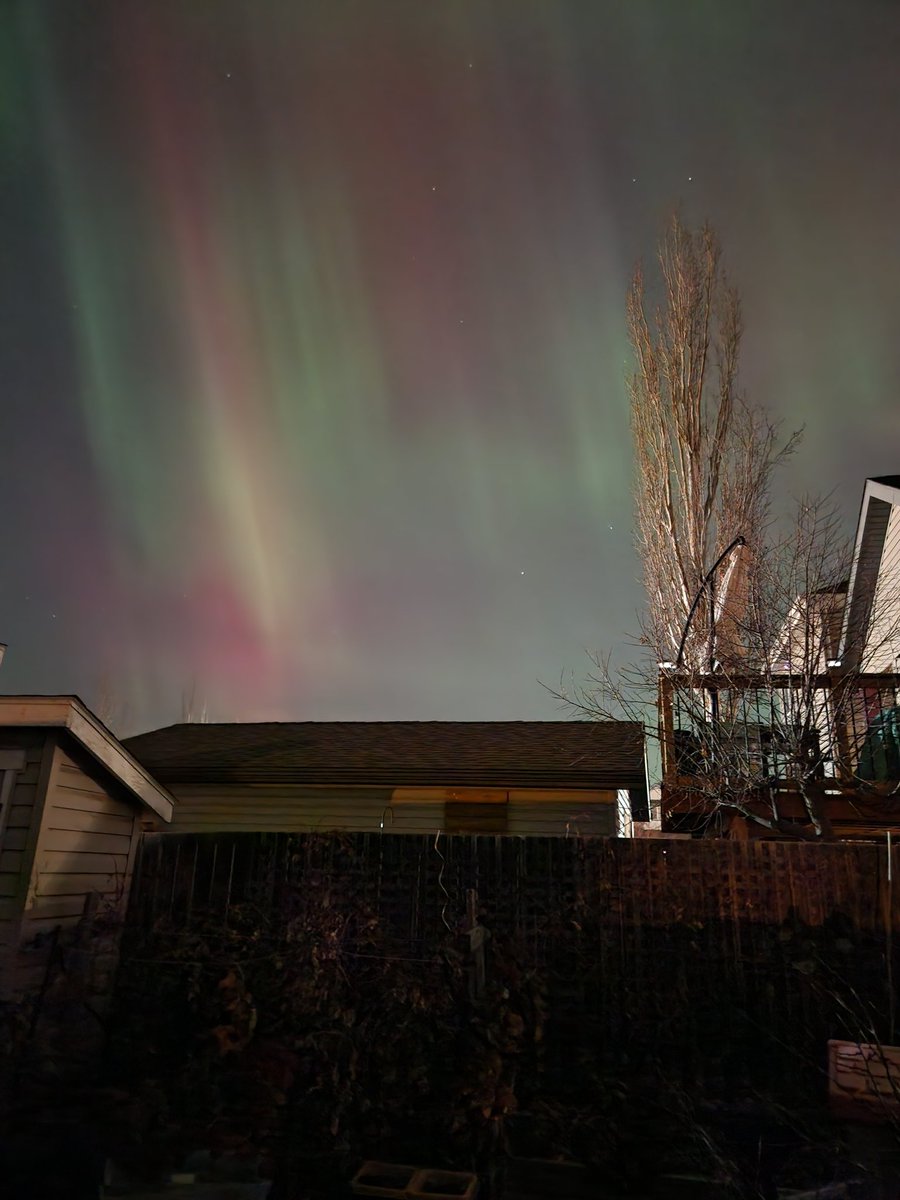 Karen Hanson 🌱 tweet media